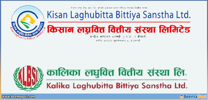 किसान लघुवित्त र कालिका लघुवित्तलाई दाजेर हेर्दाः कुन सूचकमा को अब्बल 8231